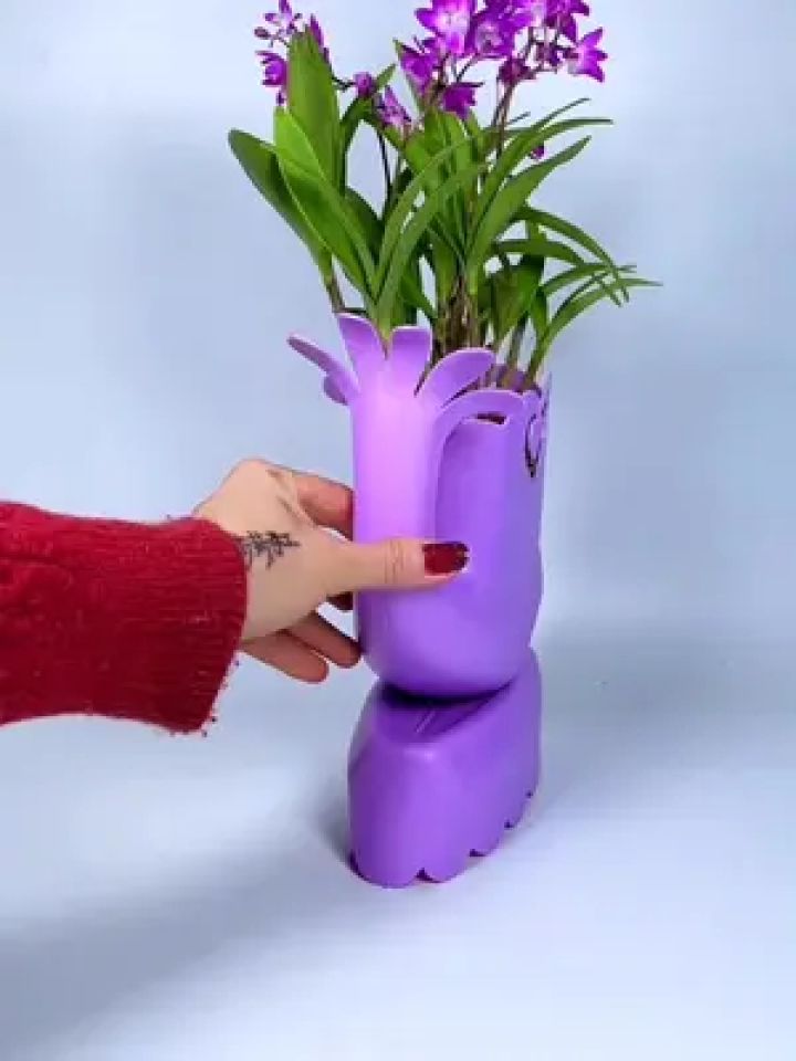 花盆不要买用你家的洗衣液空瓶就能做 自己做的好看又有成就感#自制