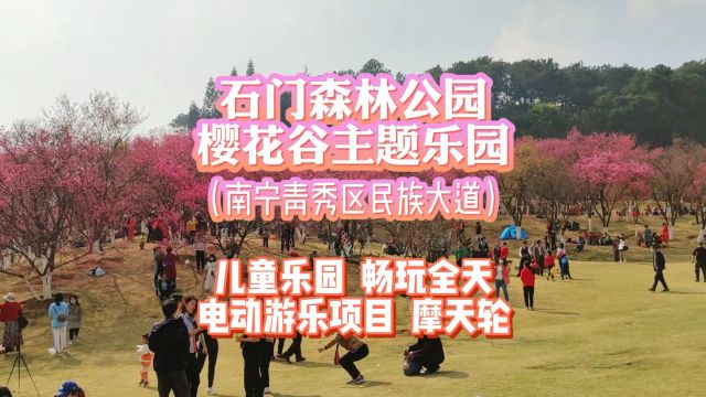 春季踏青,来南宁石门森林公园吧,樱花谷主题乐园太适合遛娃了