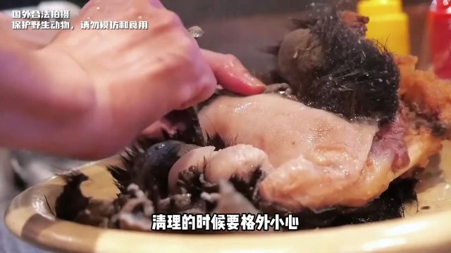 奇葩美食,红烧野生熊掌,你敢吃么?