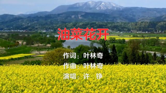 油菜花开(叶林奇词 叶林奇曲 许铮演唱)