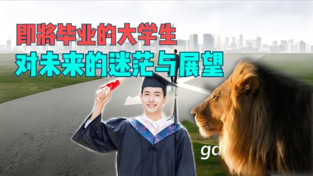 即将毕业大学生的迷茫与展望