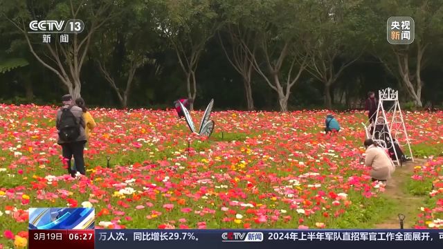 热门赏花踏青目的地搜索热度上涨92%,你想去哪春游?