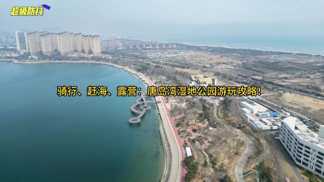 骑行、赶海、露营:唐岛湾湿地公园游玩攻略