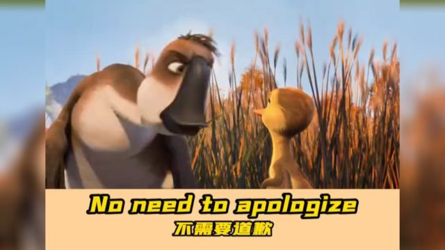 每日英语口语练习no need to apologize不需要道歉