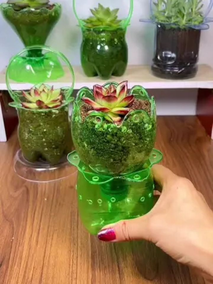 手工 #自制花盆 #空瓶子的妙用