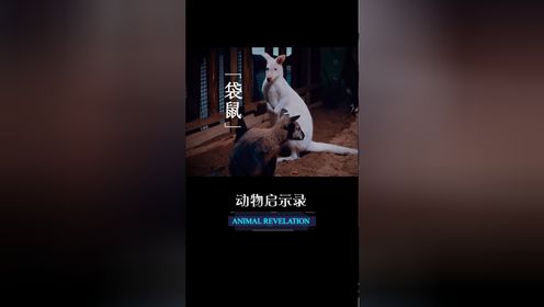 02多少人打着孝顺的旗号实则是个巨婴02