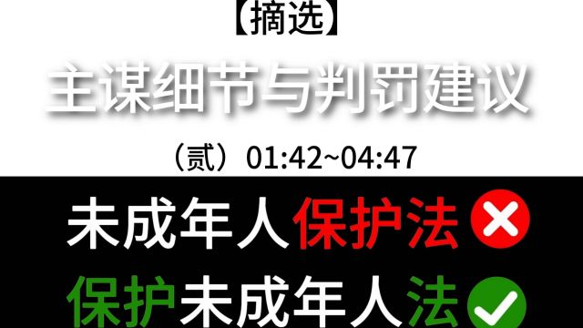 【摘选】主谋细节与判罚建议(贰)《未成年人保护法X 保护未成年人法V》