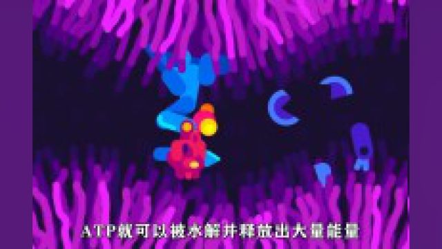 生物的能量来源是什么,我们为何能够活着?