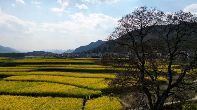 三月重庆秀山龙凤镇元古桥美景