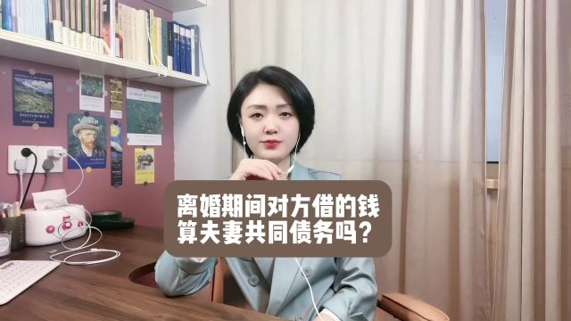 离婚期间借债