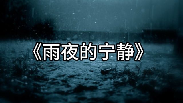 雨夜的宁静