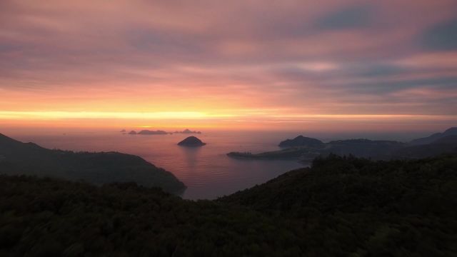 如果词不达意,那就将爱意藏在心底.