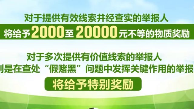 中国足球协会:鼓励举报足球“假赌黑”问题,聘请足球社会监督员