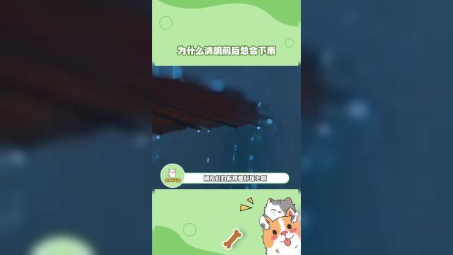 清明节前后为什么总是下雨呢,网友们的解释都好暖呀!