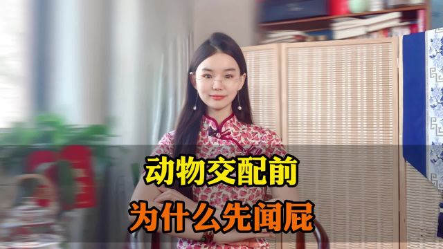 动物交配前,为什么要先闻屁?