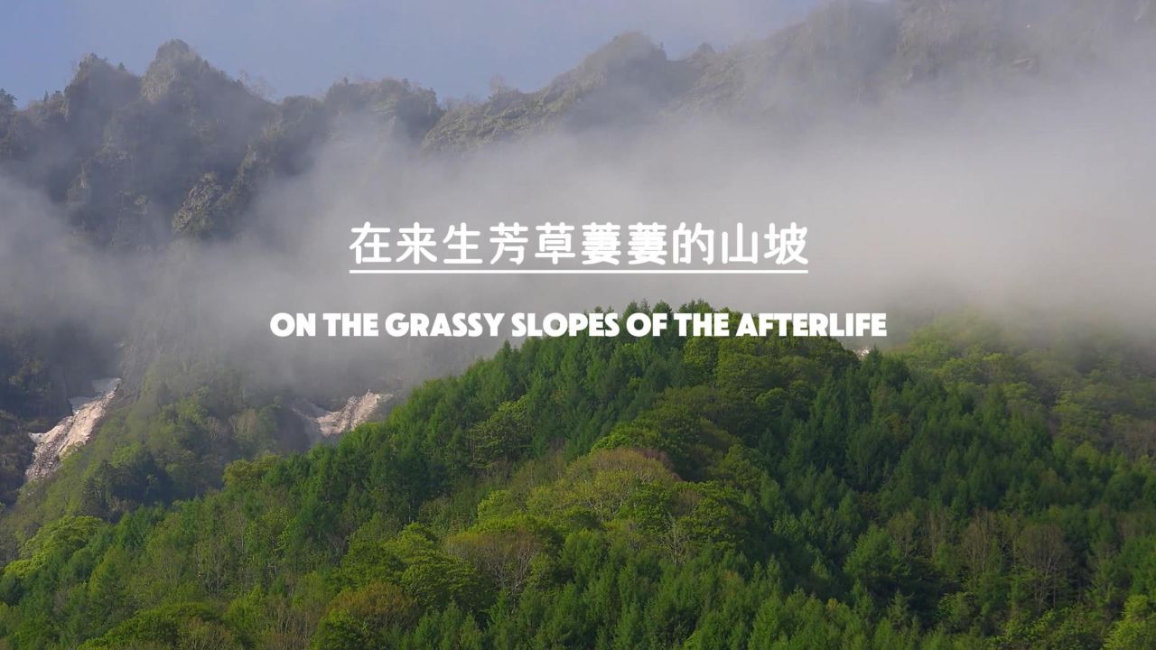 在来生芳草萋萋的山坡,我愿化作风中最柔软的那朵