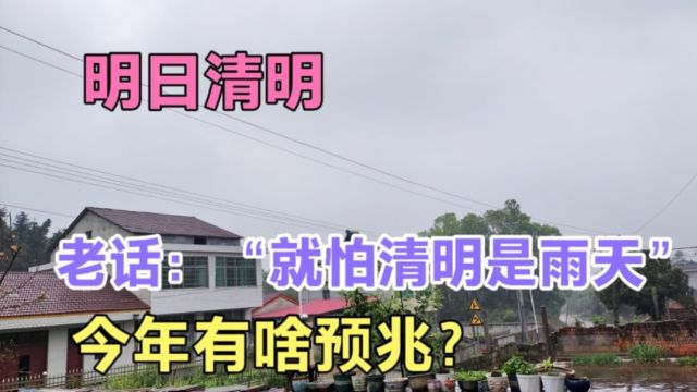 明日清明,老话“就怕清明是雨天”,今年有啥征兆?答案来了