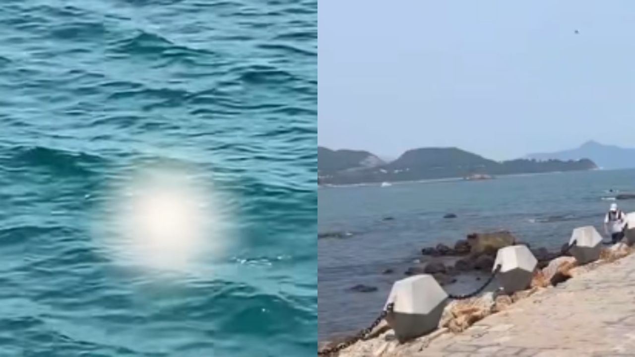 游客在深圳景区发现疑“尸体”的漂浮物,警方:确实是浮尸_腾讯视频