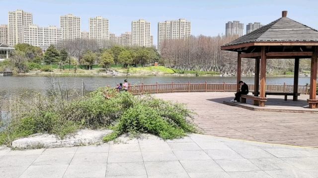 顺堤河风景区踏着春天的脚步来了.无处不树,无处不花,秀色天成,美景如画