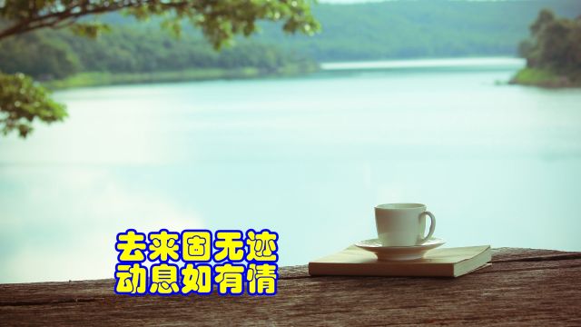 品鉴唐诗 去来固无迹 动息如有情 王勃 《咏风》