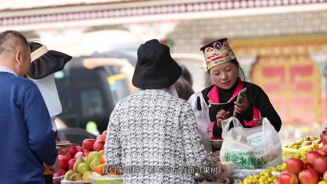 春天里的藏家故事|水果摊“摆”出生态富民路