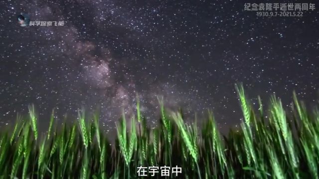 袁隆平星,在宇宙中闪烁着永恒的星光,纪念袁隆平逝世两周年 #8117袁隆平星 #杂交水稻之父袁隆平 #袁隆平 #涨知识