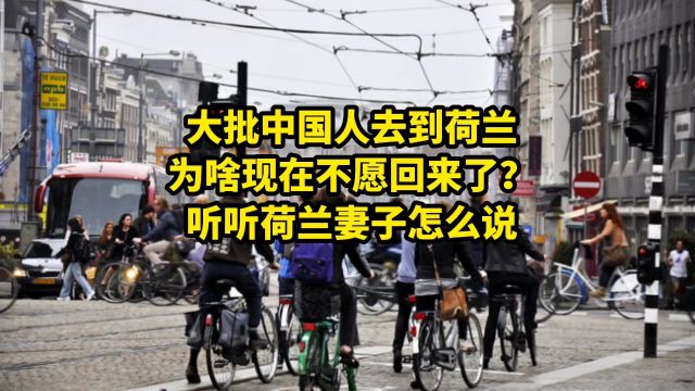 大批中国人去到荷兰,为啥现在不愿回来了?听听荷兰妻子怎么说