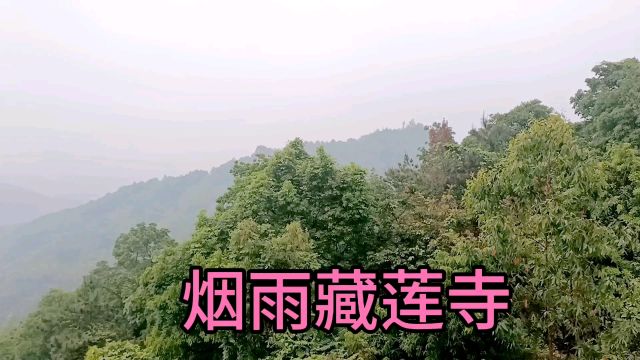 普宁著名景点百二坵田藏莲寺,隐藏在市区南面大南山里,风景秀丽