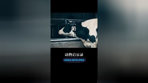 02有些爱,无法用眼睛看见0202