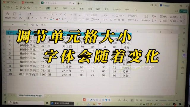 调节单元格大小字体会随着变化