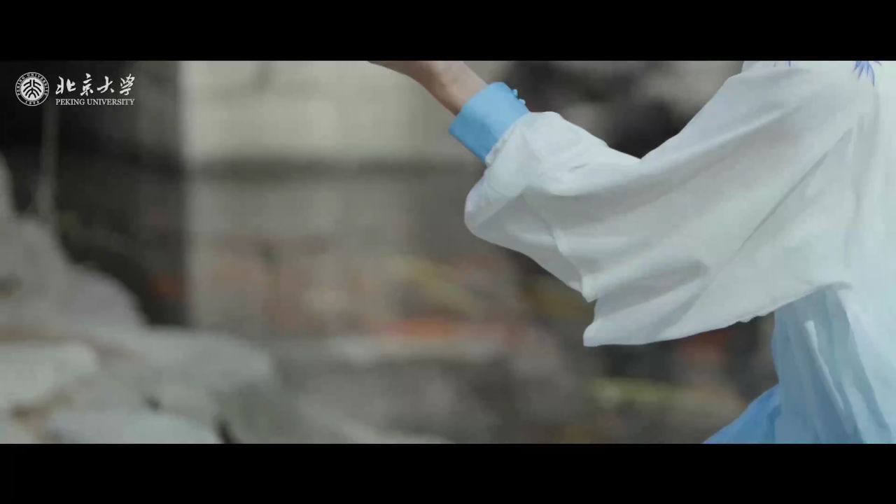 世界冠军柴云龙演练《太极春》