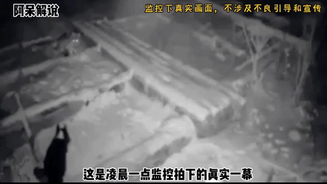 野狼三更半夜出现在农家小院,把看家护院的狗狗直接拖走