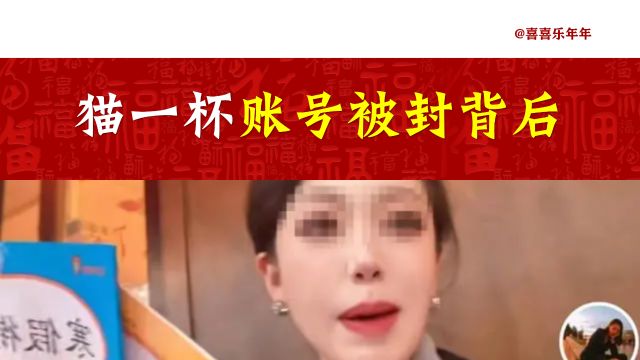 千万网红猫一杯被处罚、账号被封的背后