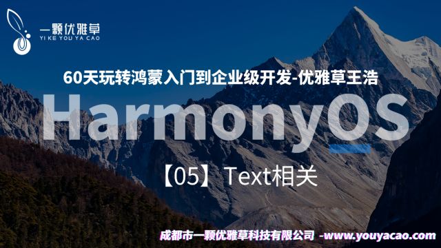 【05】60天玩转鸿蒙入门到企业级开发优雅草王浩Text相关