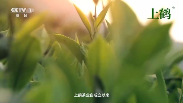 上鹤茶叶广告2