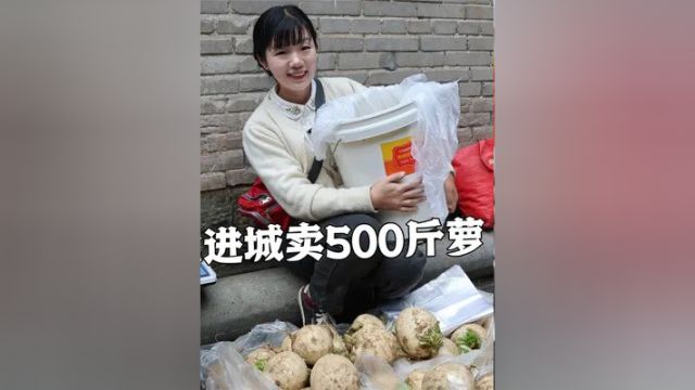 挑战周末带500斤萝卜,进重庆城摆摊卖