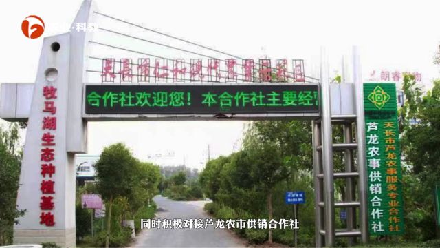 探索合作经济发展道路 全力以赴抓好综合改革——天长市供销社