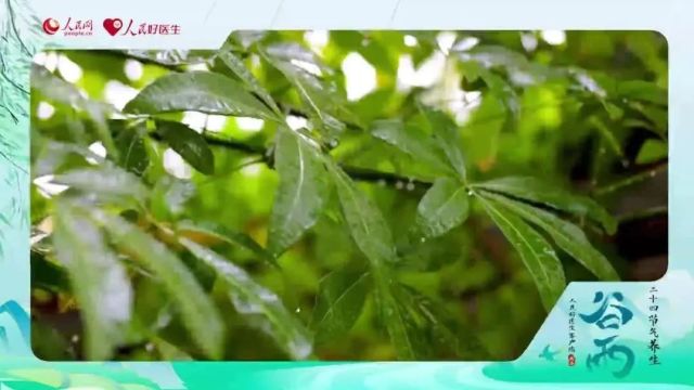 健康科普 | 谷雨“防春火”,哪些食物可滋阴降火?