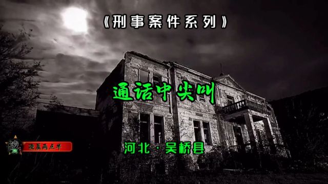 河北吴桥县美艳少妇就打个电话,被床下男子残害后掩埋,朴树迷离