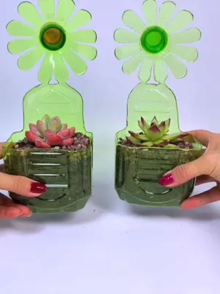 这么可爱的小花盆喜欢吗?