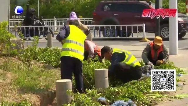 市园林绿化事务中心:全面做好春季苗木养护