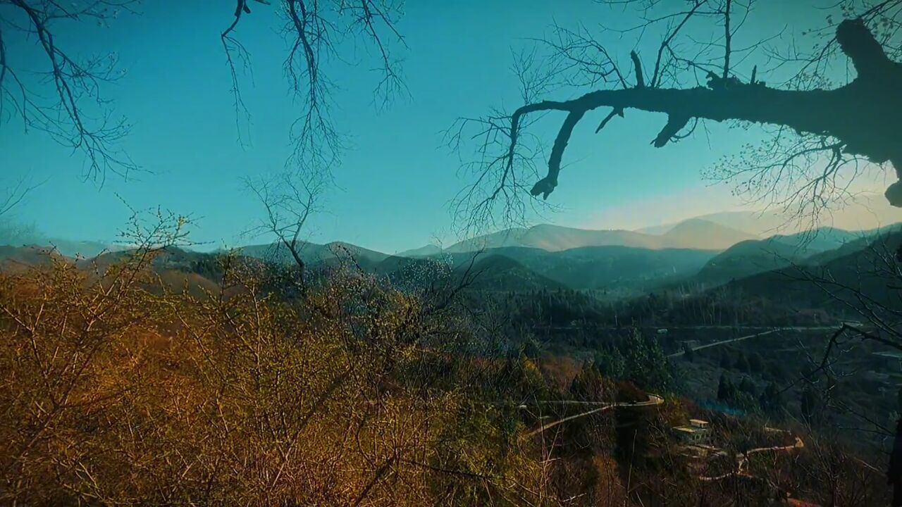 春山行_高清1080P在线观看平台_腾讯视频