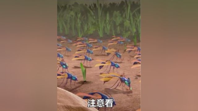 熊孩子变成蚂蚁大小,学会了蚂蚁的勇敢,在弱小的生物也不能小觑