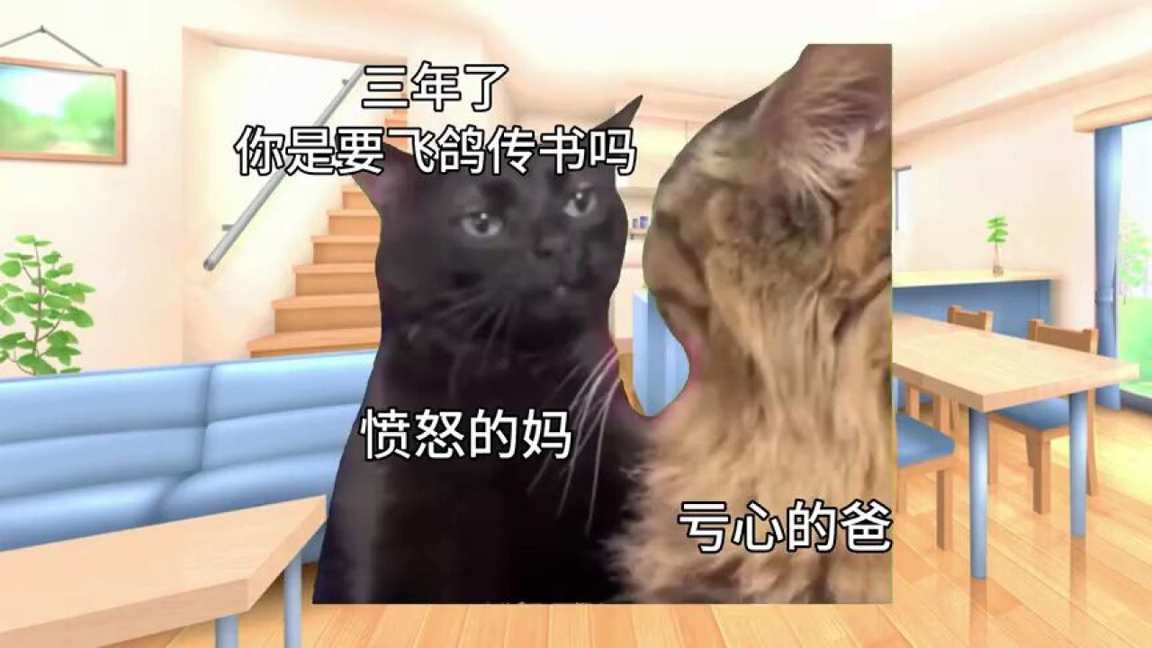 留学哥回来后发现自己多了个妹妹猫meme猫猫meme猫咪日常中视频伙伴计划_高清1080P在线观看平台_腾讯视频
