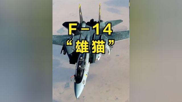 如果战斗机的颜值有段位 这款三代机能否坐稳“王者”地位 #武器科普 #军事科技 #战斗机