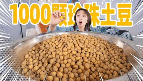 用1000颗珍珠土豆磨粉！做一碗甘肃天水麻辣烫！