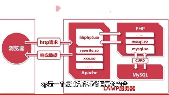 我爱记命令:红帽Linux技术之cp命令#红帽认证