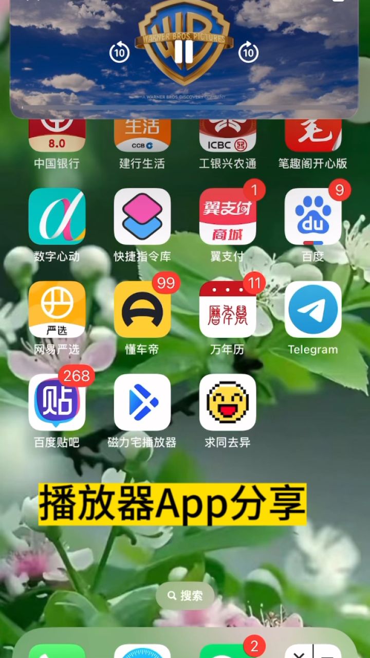 磁力影视播放器软件=磁力播放器是什么东西