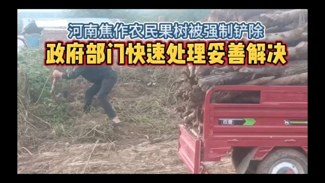 河南焦作农民果树被强制铲除,政府部门快速处理妥善解决