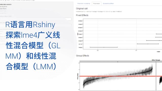 R语言用Rshiny探索lme4广义线性混合模型(GLMM)和线性混合模型(LMM)